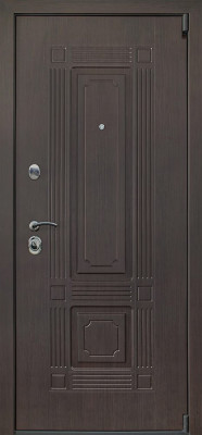 Стальная дверь "Викинг"