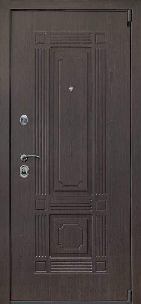 Стальная дверь "Викинг"