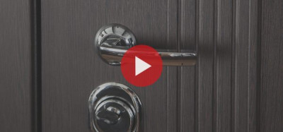 Стальная дверь "Викинг"