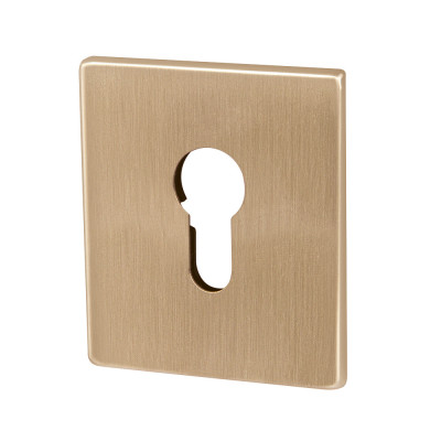 Накладка Armadillo (Армадилло) на цилиндр ESC.C.USS/K (ET Protector/USS) FSG флорентийское золото