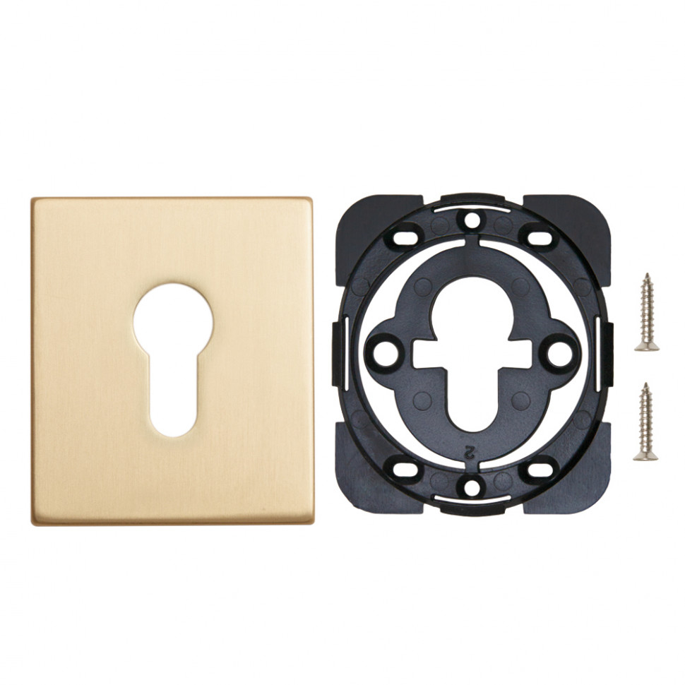 Накладка Armadillo (Армадилло) на цилиндр ESC.C.USS/K (ET Protector/USS) FSG флорентийское золото