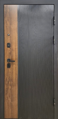 Дверь РЕКС 19