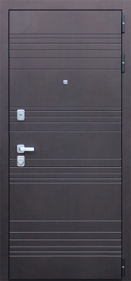 Стальная дверь "Дуэт"