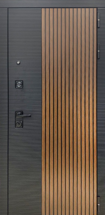 Дверь Рекс 25