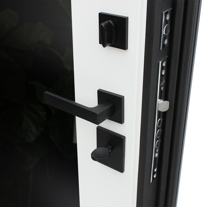 Стальная дверь "Бриг с зеркалом"