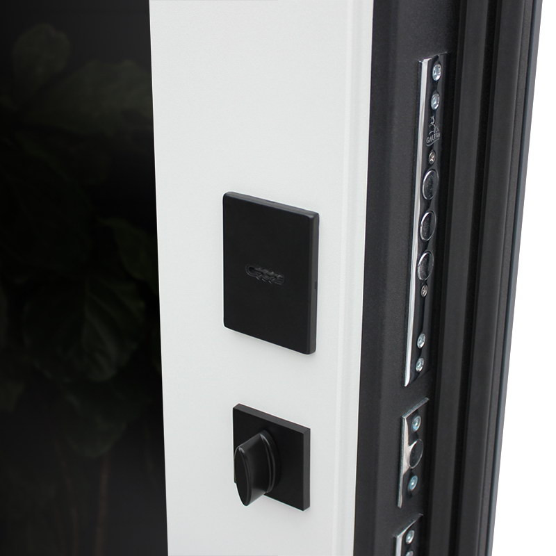 Стальная дверь "Бриг с зеркалом"