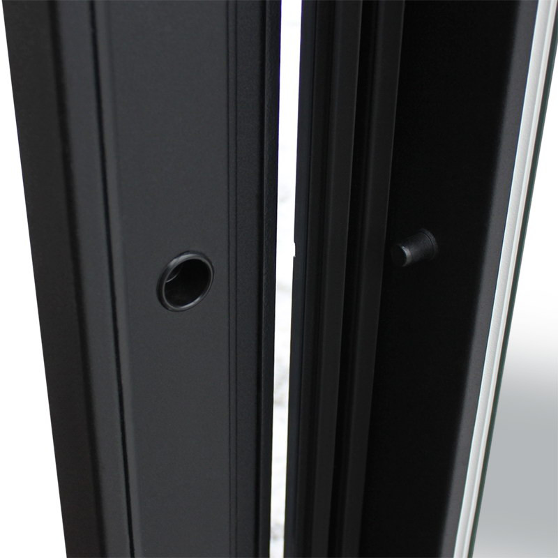 Стальная дверь "Бриг с зеркалом"