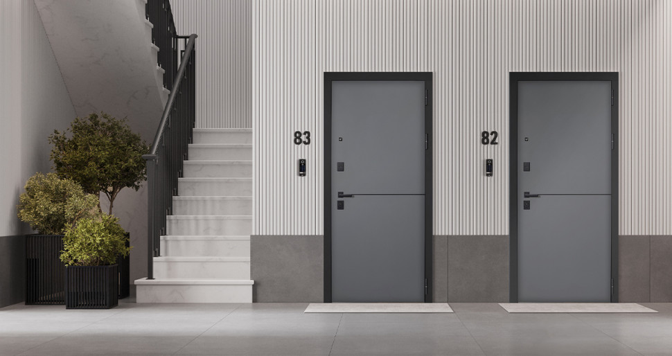 Стальная дверь "Бриг с зеркалом"