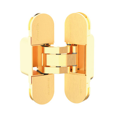 Петля Armadillo (Армадилло) скрытой установки U3D2000.TG FSG флор. золото