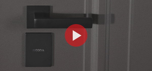 Стальная дверь Тайга с зеркалом (терморазрыв 3к)