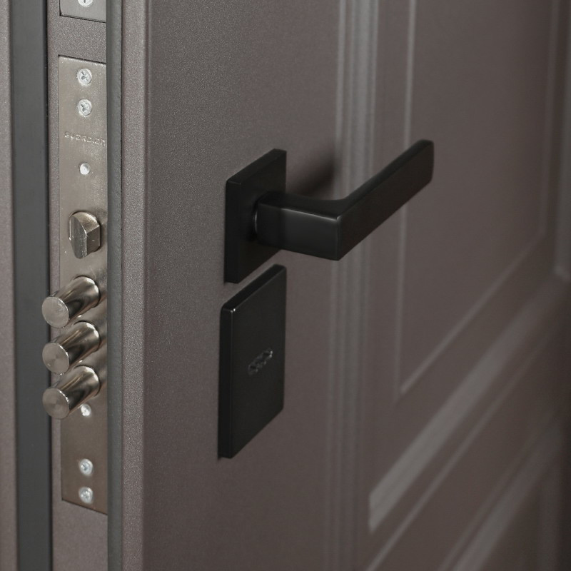 Стальная дверь Тайга с зеркалом (терморазрыв 3к)