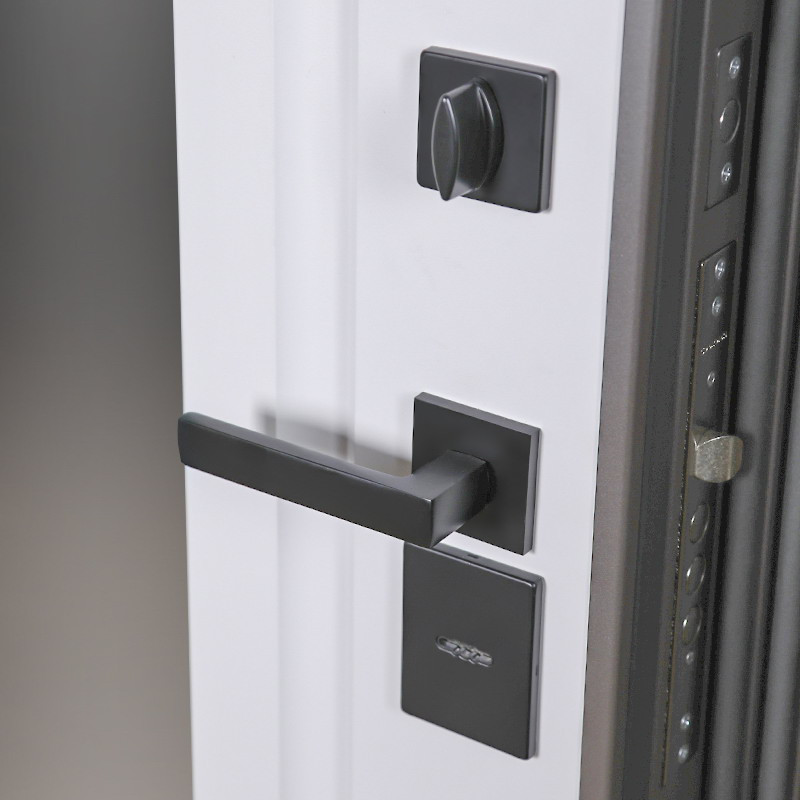 Стальная дверь Тайга с зеркалом (терморазрыв 3к)