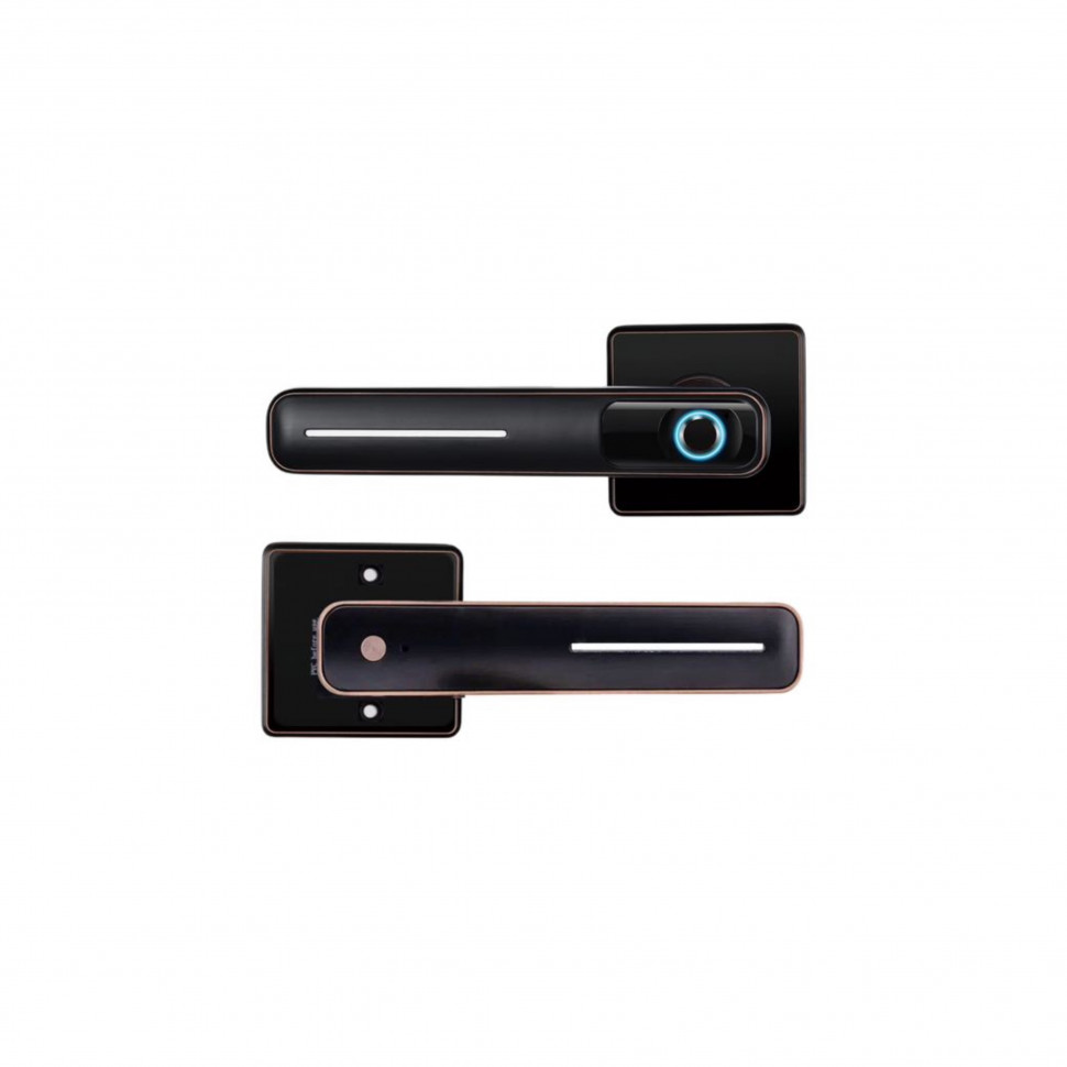 Замок-ручка электронный Hogo R05 с отпечатком пальца, черный