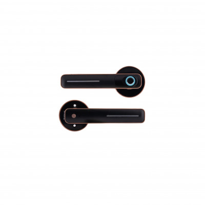 Замок-ручка электронный Hogo R01 с отпечатком пальца, черный