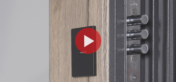 Стальная дверь  "Беркут" с зеркалом