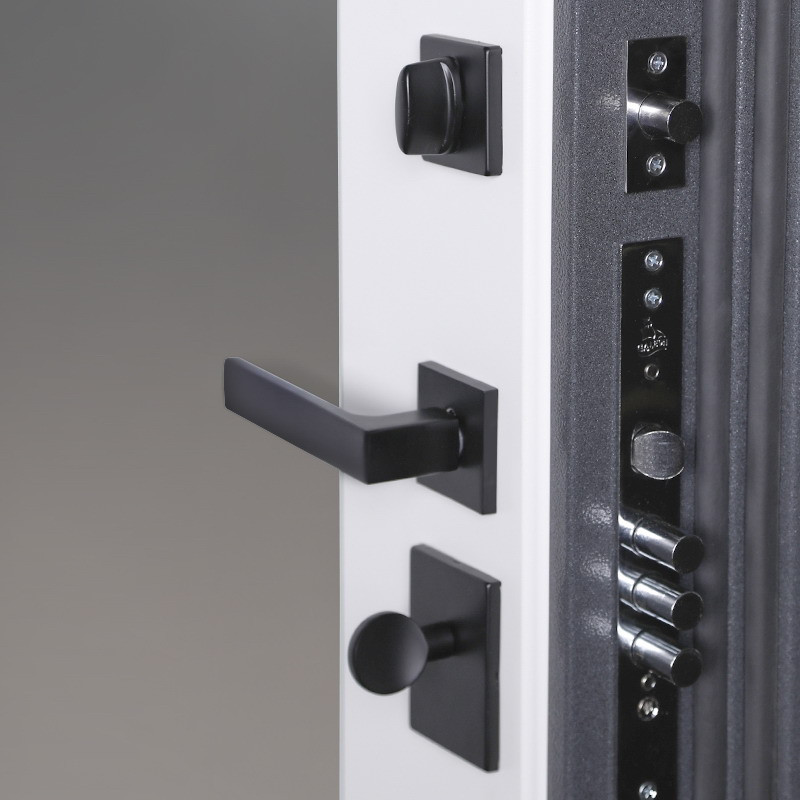 Стальная дверь  "Беркут" с зеркалом