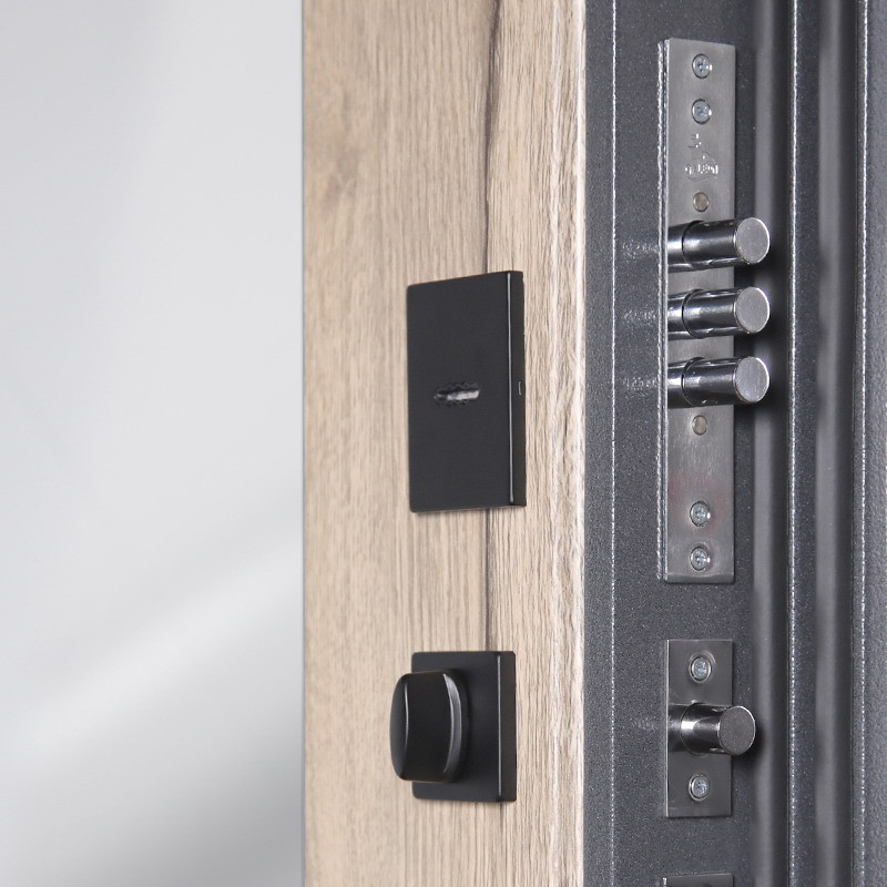 Стальная дверь  "Беркут" с зеркалом