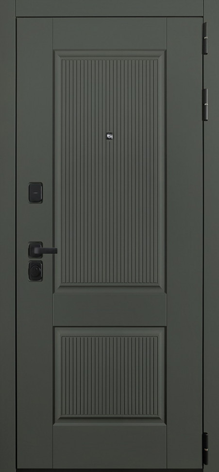 Стальная дверь "Scandi"