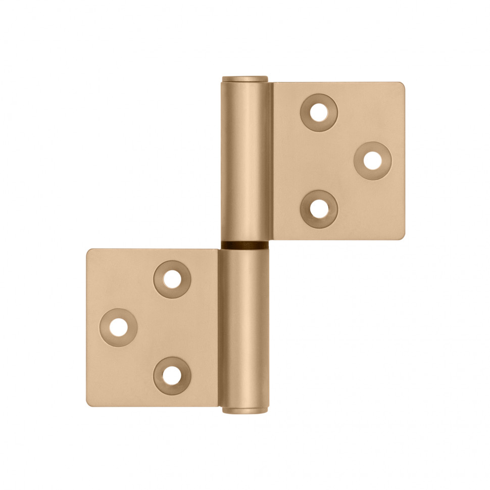 Петля Armadillo (Армадилло) универсальная флажковая FL.IN3800.UR FSG флорентийское золото