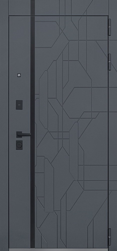 Стальная дверь "Forest" с зеркалом