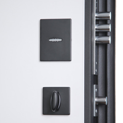 Стальная дверь «Конструктор» с зеркалом (биометрический замок)