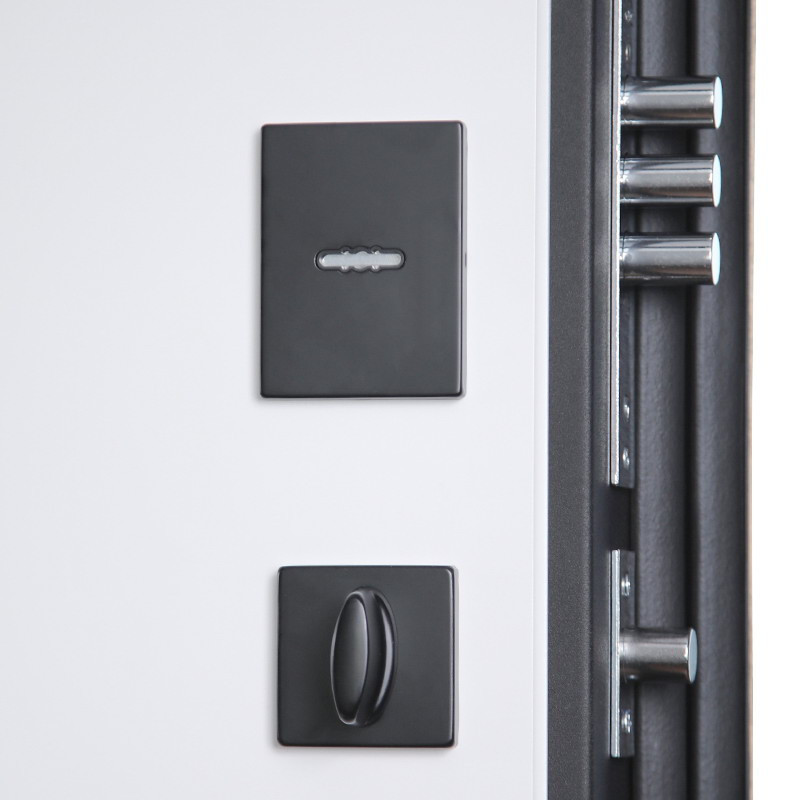 Стальная дверь «Конструктор» с зеркалом (биометрический замок)